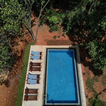 Isanka Lion Lodge Сігірія Екстер'єр фото