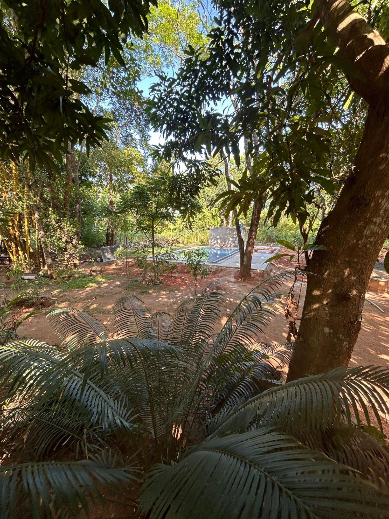 Isanka Lion Lodge Сігірія Екстер'єр фото
